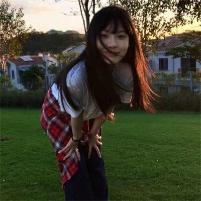 七只狐狸